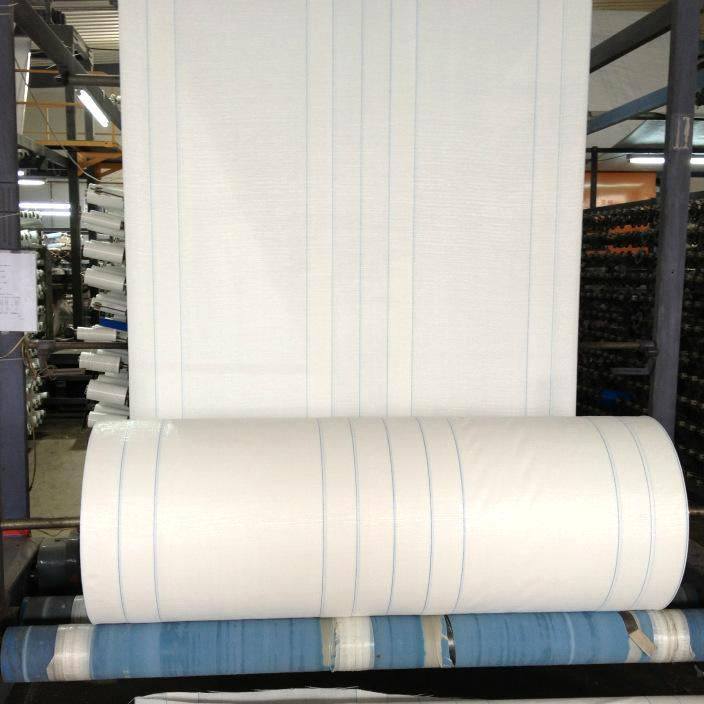 Cheap Price PP Raffia Woven Tubular White Fabric Roll with Logo require